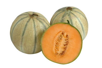 Melon Kantalupa