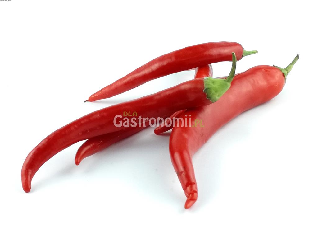 Papryka chilli czerwona
